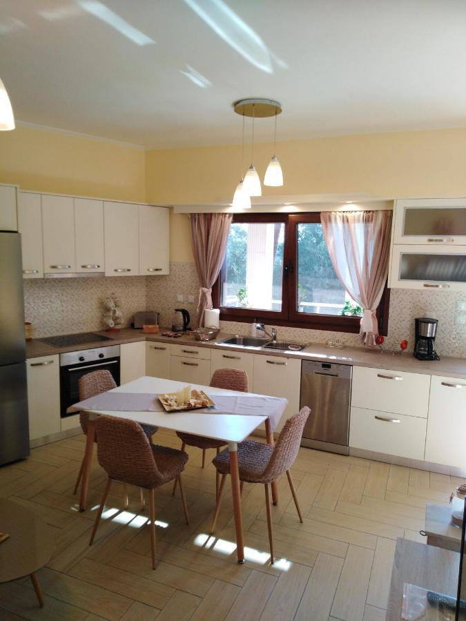 Meraki Apartment Zenempisatika Kültér fotó